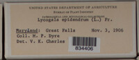 Image Associated With the Occurence